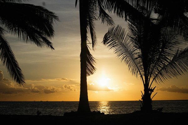 Organiser un safari voyage en famille: ce qu'il faut savoir