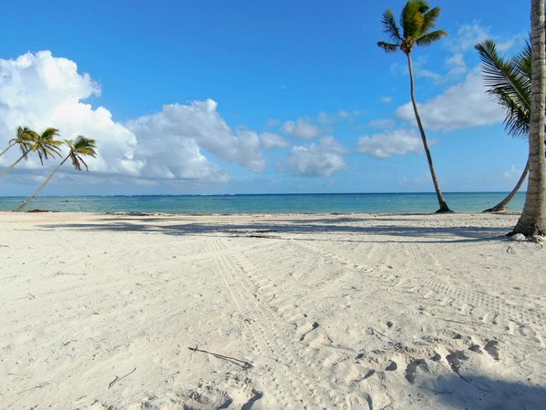 L'hermione : la frégate mythique de l'indépendance américaine