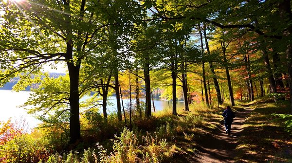 Camping écologique : partez à l'aventure en respectant la nature